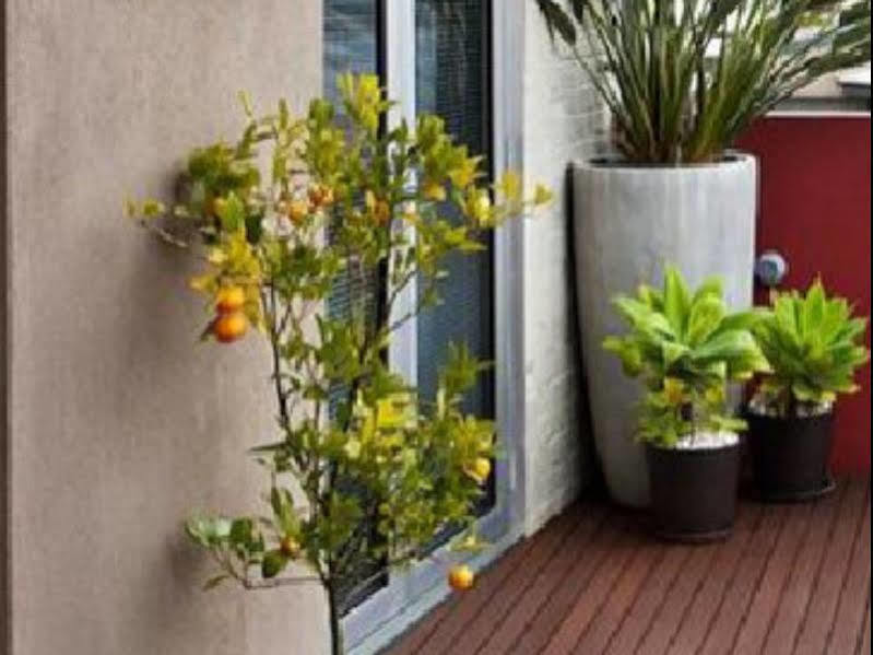 לונסטון Twofourtwo Boutique Apartments מראה חיצוני תמונה